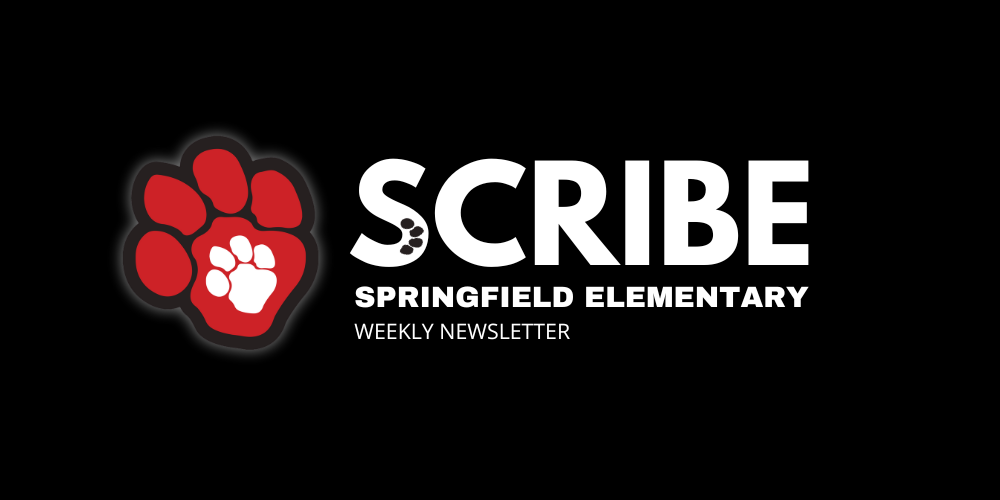 scribe newsletter text over black background